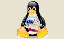 Linux tárhely